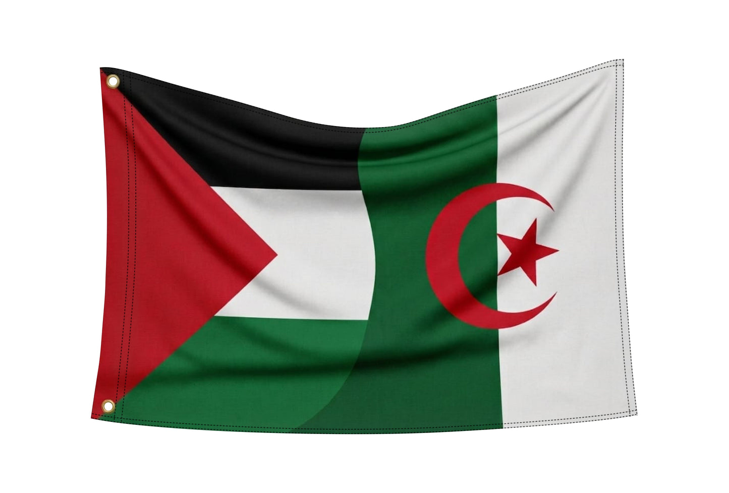 Drapeau Palestine X Algérie ( sans bordure )